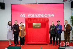 广东省知识产权研究会标准